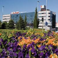 Ah San Fermin Pamplona 